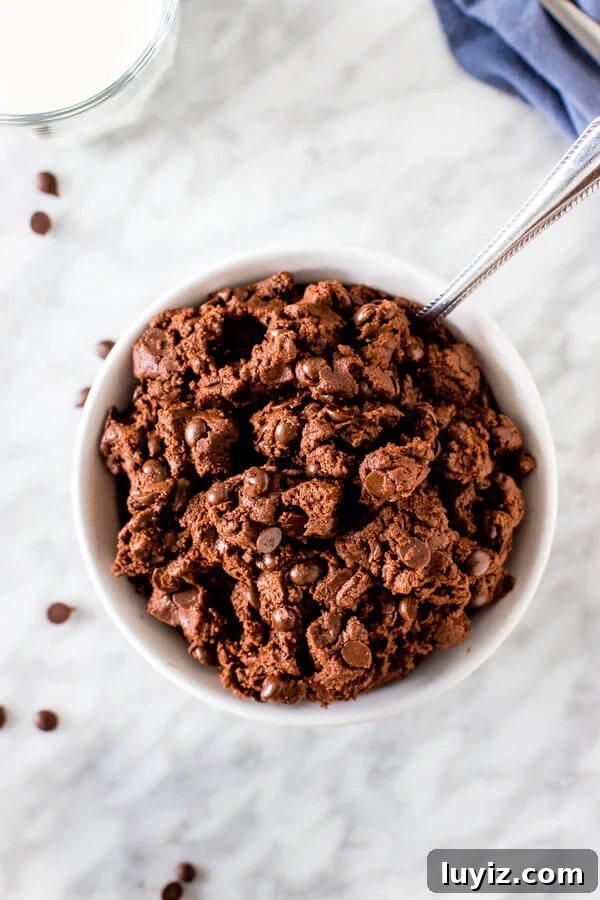 Edible Double Chocolate Cookie Dough Recipe for Spoons & Dipping 3 Eggless Chocolate Cookie dough in a bowl - shot from above.