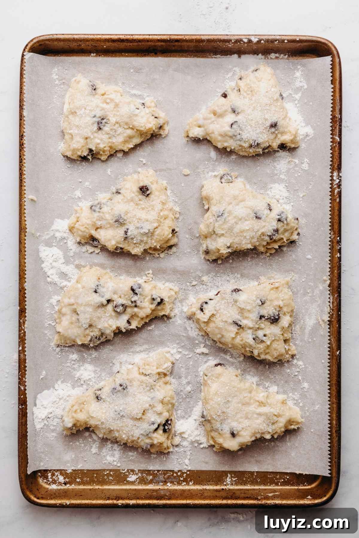 Crispy Chocolate Chip Scones with Vanilla Glaze 11 Chocolate chip scones dough cut into triangles, brushed with milk wash, and sprinkled with sparkling sugar on a parchment paper lined baking sheet sprinkled with a little flour.