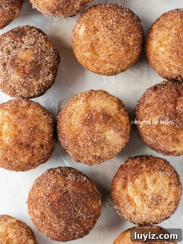 Crispy Chocolate Chip Scones with Vanilla Glaze 15 Overhead image of cinnamon sugar breakfast muffins on a white background.