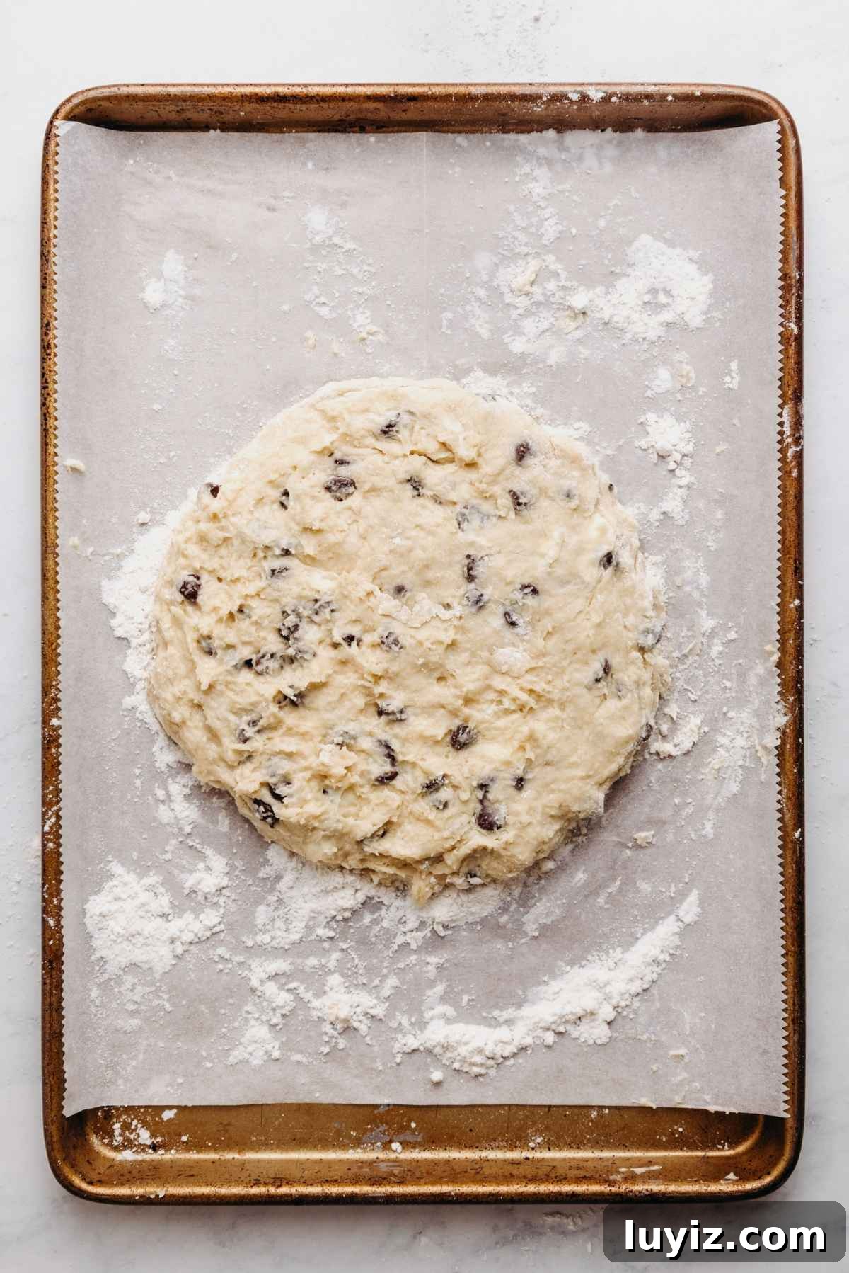Crispy Chocolate Chip Scones with Vanilla Glaze 9 Chocolate chip scones dough shaped into a seven inch diameter circle on a white parchment paper lined baking sheet sprinkled with flour.