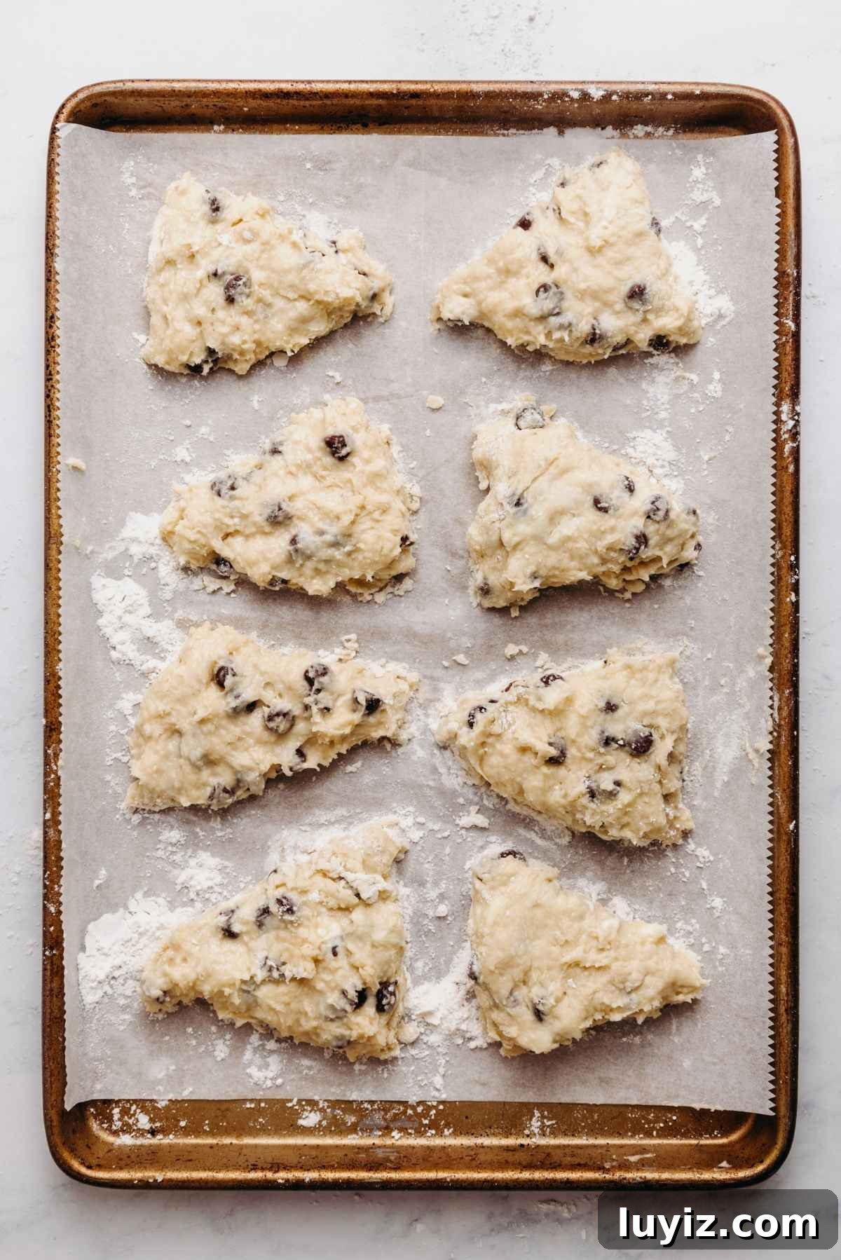 Crispy Chocolate Chip Scones with Vanilla Glaze 10 Chocolate chip scones cut into triangles and separated on a white parchment paper lined baking sheet sprinkled with flour.