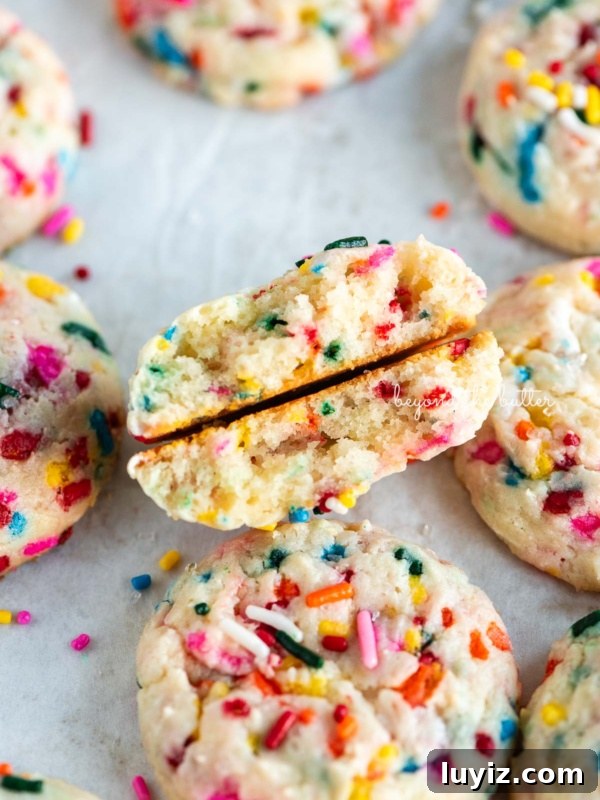 Moist Zucchini Chocolate Chip Oatmeal Cookies Recipe 13 Funfetti butter cookies