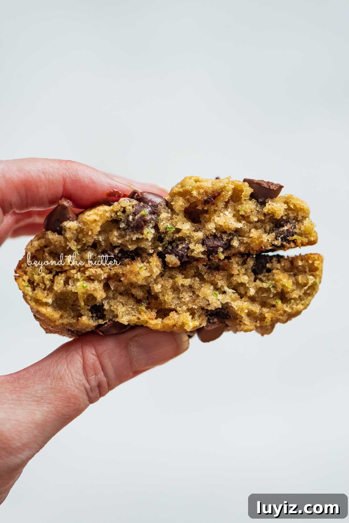 Moist Zucchini Chocolate Chip Oatmeal Cookies Recipe 3 Inside shot of a zucchini chocolate chip oatmeal cookie
