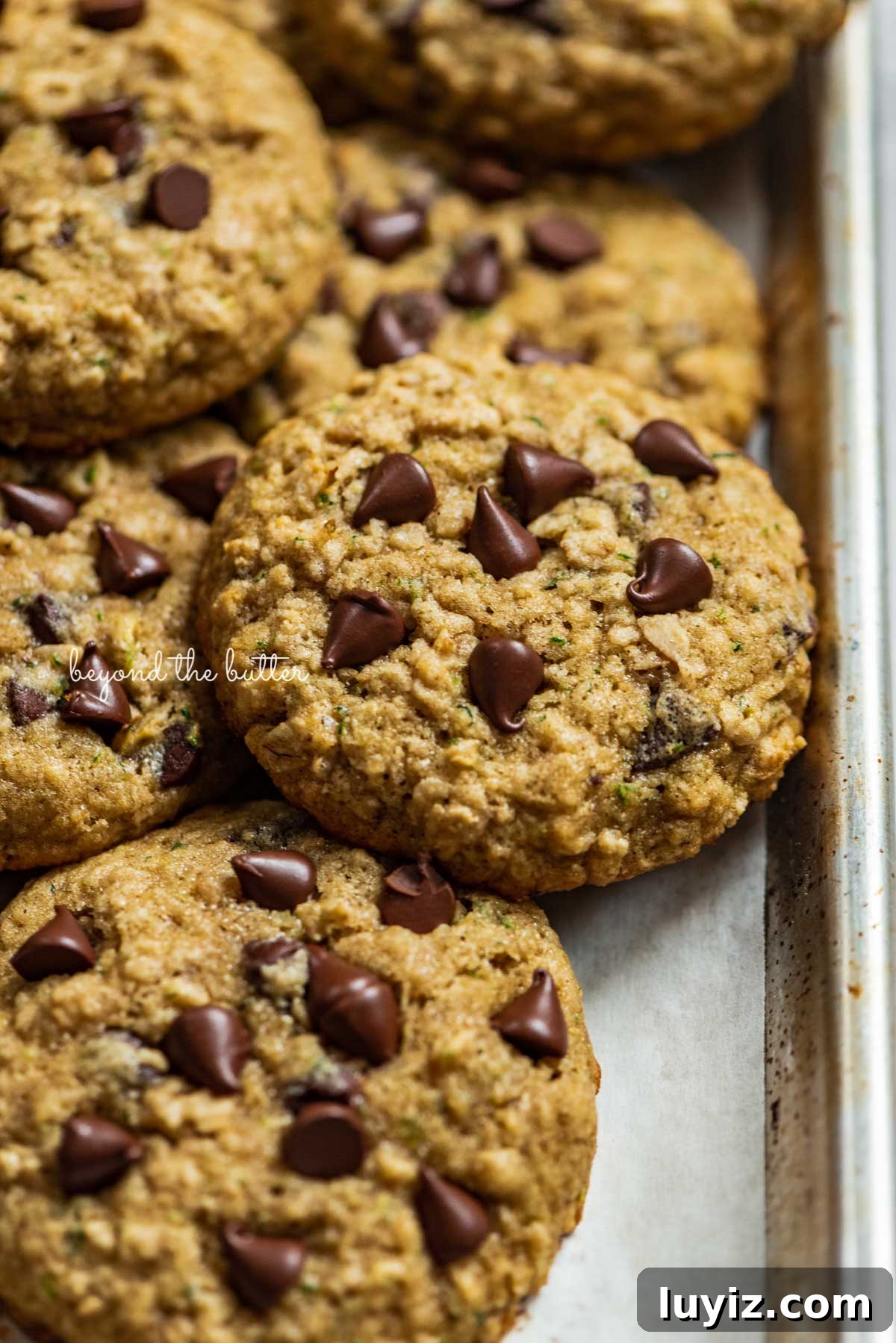 Moist Zucchini Chocolate Chip Oatmeal Cookies Recipe 5 Zucchini chocolate chip oatmeal cookies on a parchment paper lined baking sheet