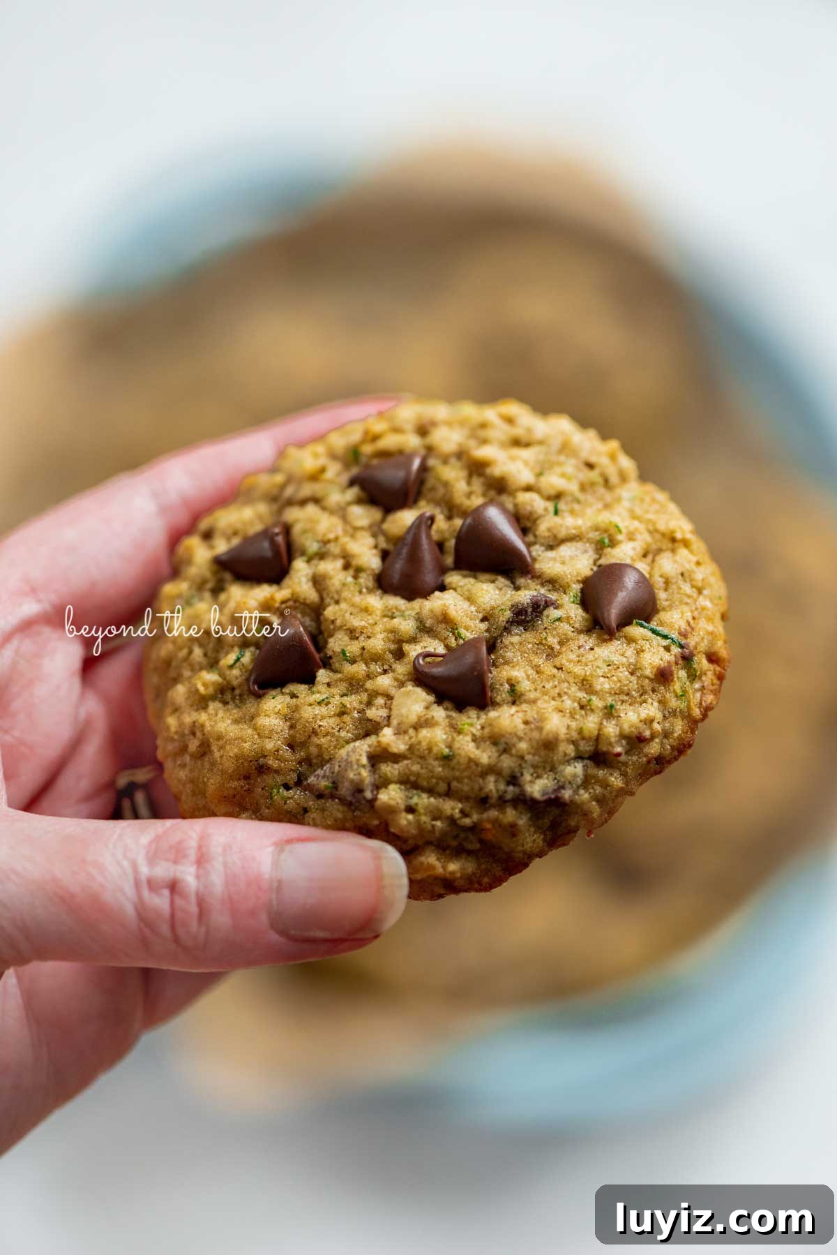 Moist Zucchini Chocolate Chip Oatmeal Cookies Recipe 8 Hand holding a zucchini chocolate chip oatmeal cookie