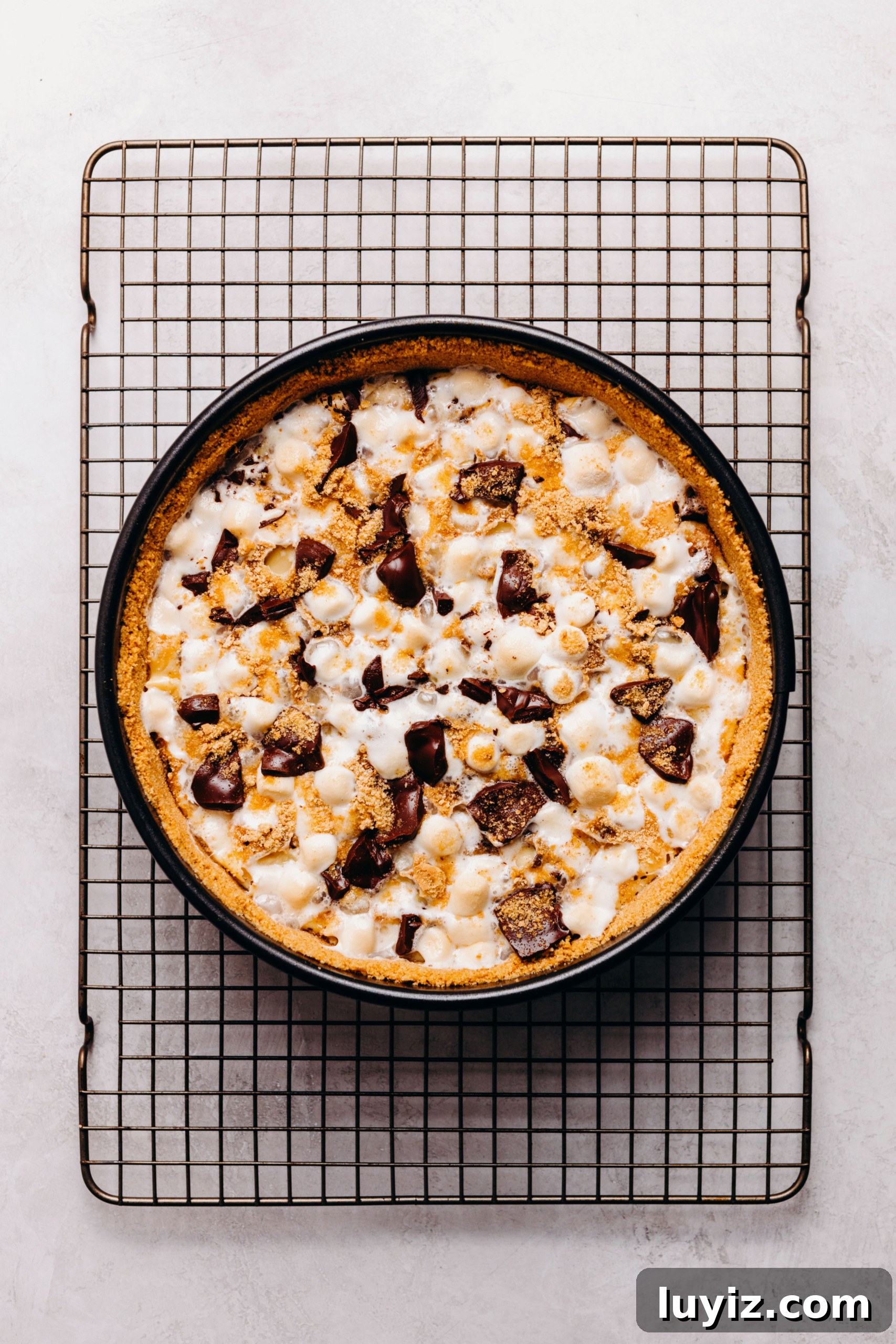 S’mores Cheesecake Recipe: Gooey Chocolate, Graham & Toasted Marshmallow 15 Baked s'mores cheesecake cooling on a wire cooling rack on a textured white background.