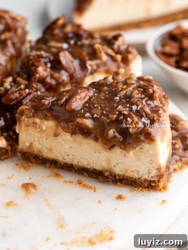 S’mores Cheesecake Recipe: Gooey Chocolate, Graham & Toasted Marshmallow 18 Sliced pecan pie cheesecake sprinkled with sea salt flakes on a white marble cake stand placed next to a small bowl of pecans on a white background.