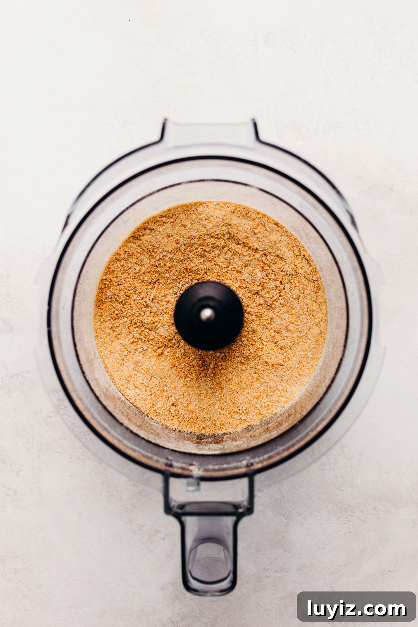 S’mores Cheesecake Recipe: Gooey Chocolate, Graham & Toasted Marshmallow 6 Graham cracker crumbs in a food processor on a textured white background.