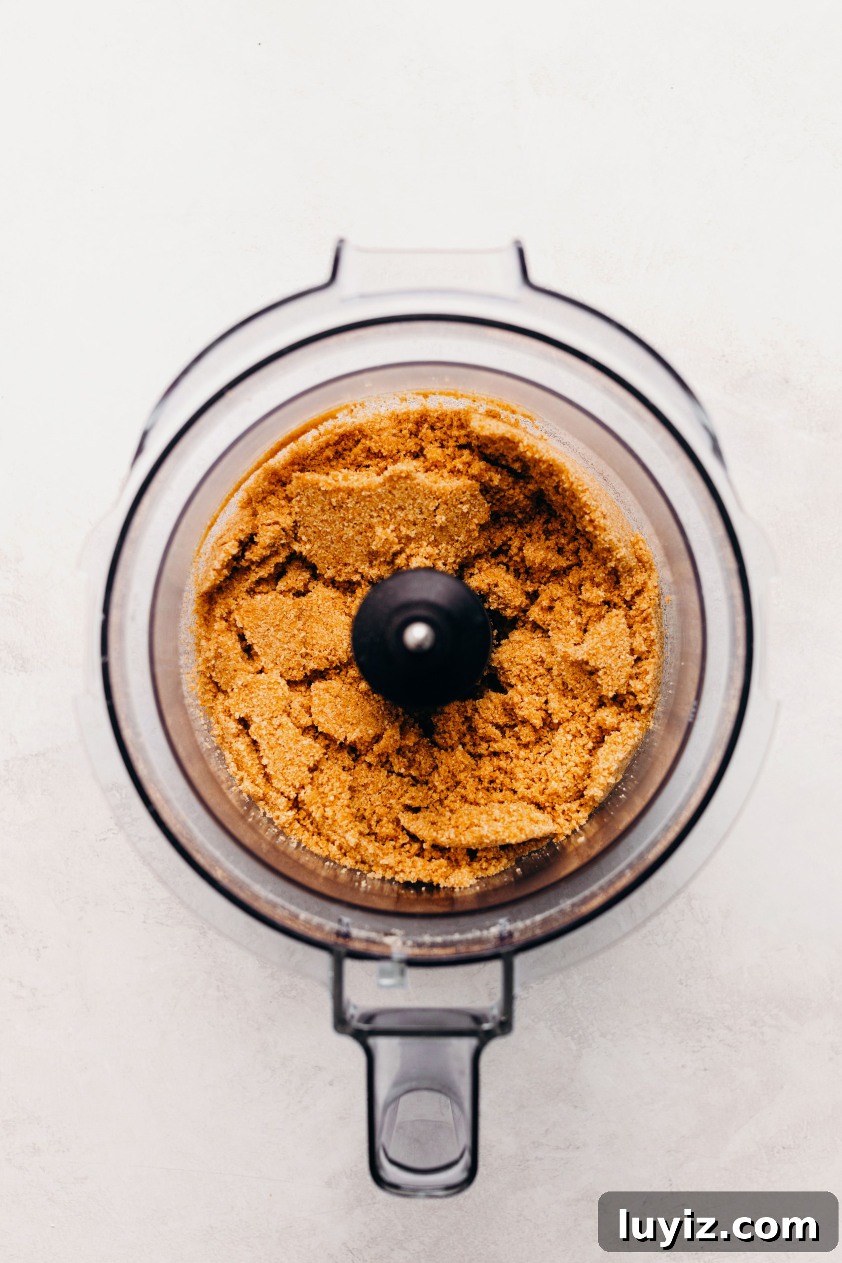 S’mores Cheesecake Recipe: Gooey Chocolate, Graham & Toasted Marshmallow 7 Graham cracker crumbs mixed together with melted butter and sugar in a food processor on a textured white background.