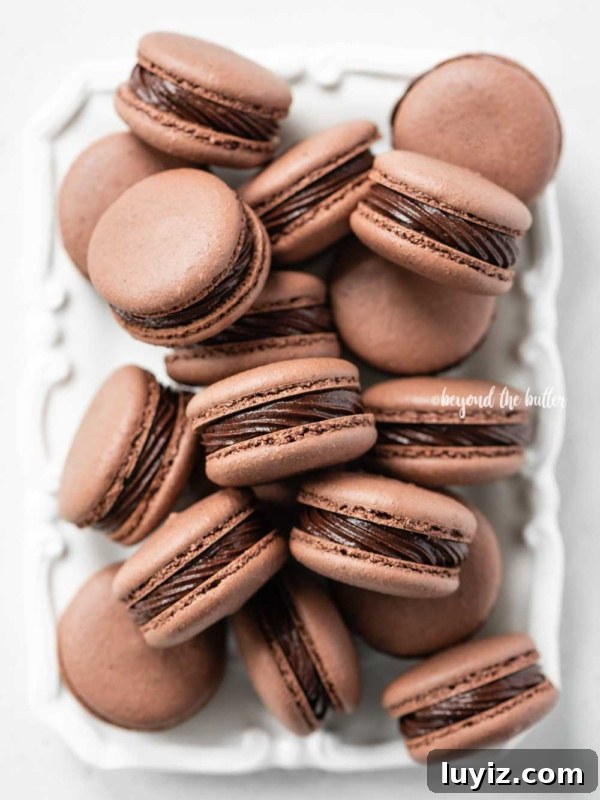 Oreo Cookie Macarons: Step-by-Step Recipe for Perfect Bites 8 Overhead image of rectangular white plate full of chocolate macarons on white background.