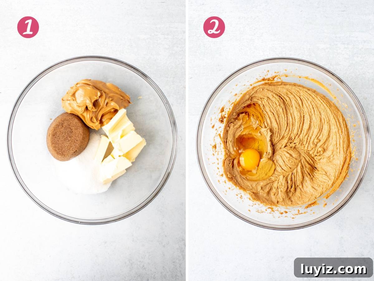 Reese's Pieces Peanut Butter Cookies — Ultimate Recipe Guide 3 Bowl of butter, sugars and peanut butter, and bowl of butter sugars and peanut butter mixed together with egg and vanilla added