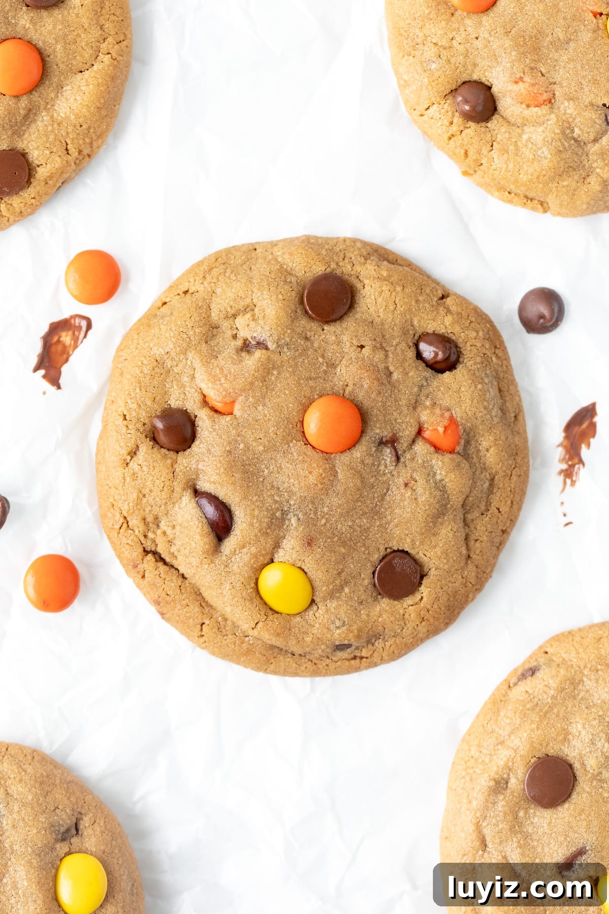 Reese's Pieces Peanut Butter Cookies — Ultimate Recipe Guide 6 Ultimate peanut butter cookie with peanut butter candies and chocolate chips