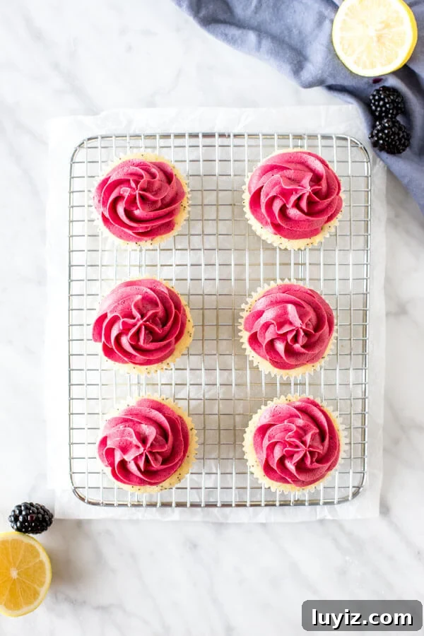 Cupcakes with blackberry frosting on a cooling rack, shot from above.