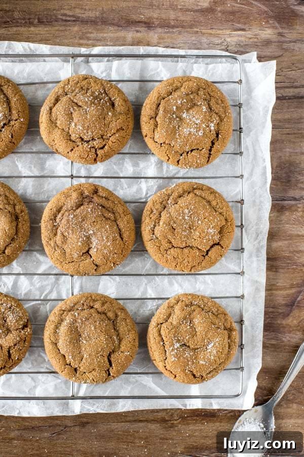 Soft Chewy Ginger Molasses Cookies Recipe 3 Ginger Molasses Cookies on a cooling tray, from above.