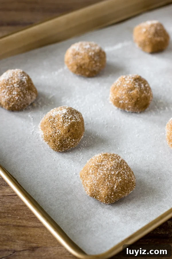 Soft Chewy Ginger Molasses Cookies Recipe 4 A cookie tray of ginger molasses cookie dough balls rolled in sugar