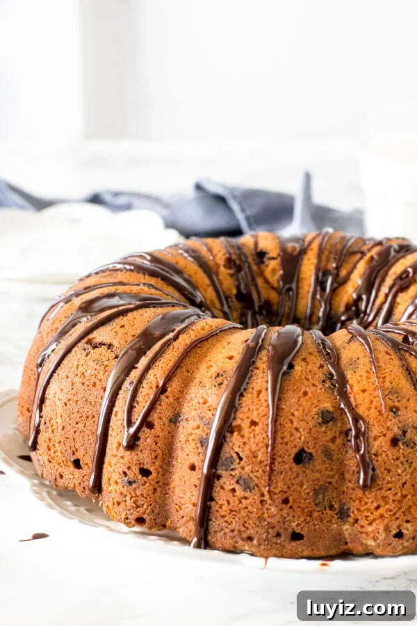 Ultimate Chocolate Chip Bundt Cake Recipe for Moist, Gooey Slices 3 Bundt cake drizzled with chocolate ganache on a plate.