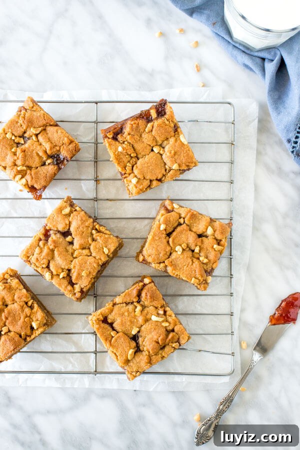 Peanut Butter and Jelly Bars Recipe — Chewy Jam-Filled Squares 3 Cooling rack with 6 pieces.