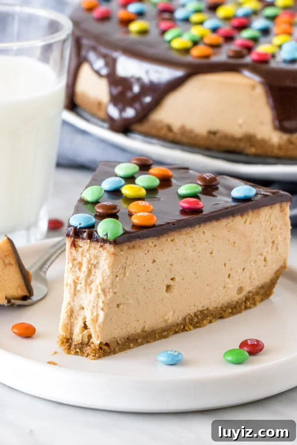 Monster Cookie Cheesecake Recipe: Decadent Layered Dessert Guide 5 Slice of monster cookie cheesecake with a bite taken out of it.