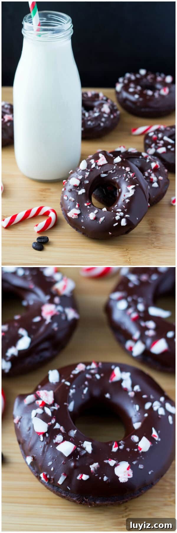 Peppermint Mocha Donuts: Festive Coffee-Infused Recipe Guide 3 Fudgy, chocolate-y Peppermint Mocha Doughnuts dipped in a rich mocha glaze & sprinkled with crushed candy canes - You NEED to make these!