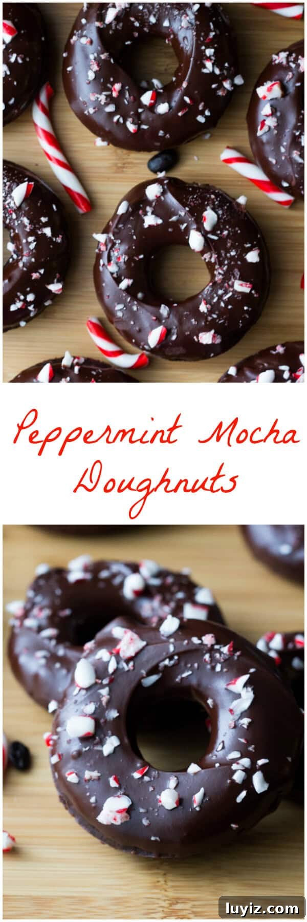 Peppermint Mocha Donuts: Festive Coffee-Infused Recipe Guide 4 Fudgy, chocolate-y Peppermint Mocha Doughnuts dipped in a rich mocha glaze & sprinkled with crushed candy canes - You NEED to make these!