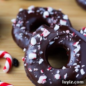 Fudgy, chocolate-y Peppermint Mocha Doughnuts dipped in a rich mocha glaze & sprinkled with crushed candy canes - You NEED to make these!
