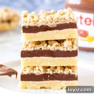 Chewy Nutella Crumb Bars with Chocolate Swirls 6 Stack of 3 Nutella crumb bars
