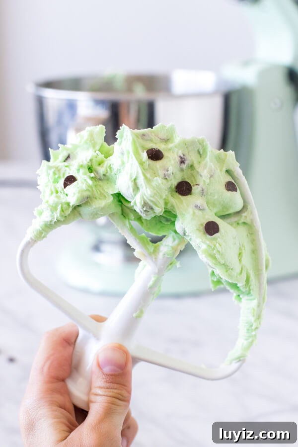 Mint-Chocolate Chip Brownies: Gooey Minty Chocolate Treat 3 Stand mixer paddle attachment with mint chip frosting.