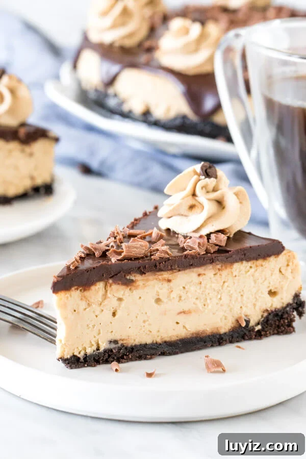 Decadent Coffee Cheesecake Recipe for Coffee Lovers 2 Slice of coffee cheesecake with chocolate ganache on top on a plate.