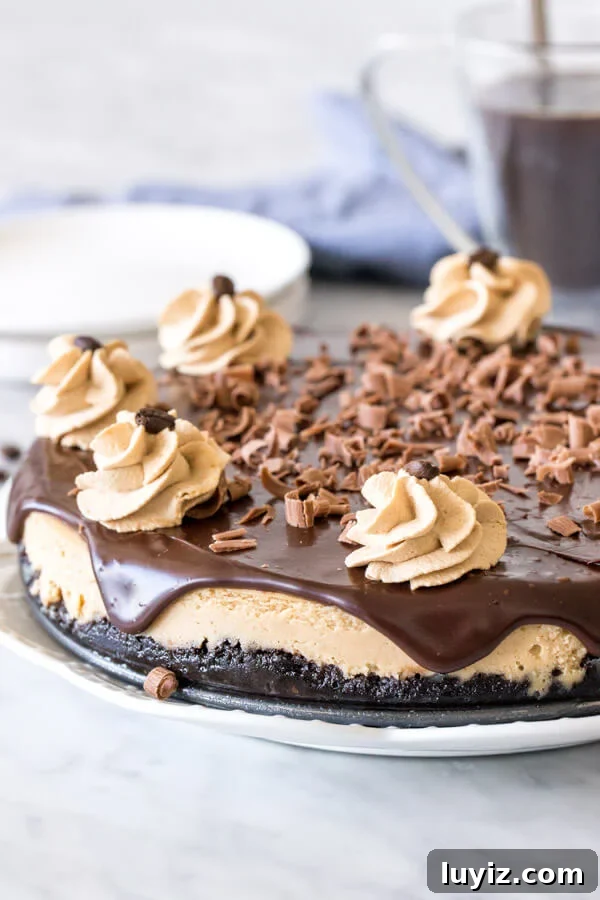 Decadent Coffee Cheesecake Recipe for Coffee Lovers 3 Espresso cheesecake on a plate with chocolate ganache, whipped cream and chocolate shavings on top.