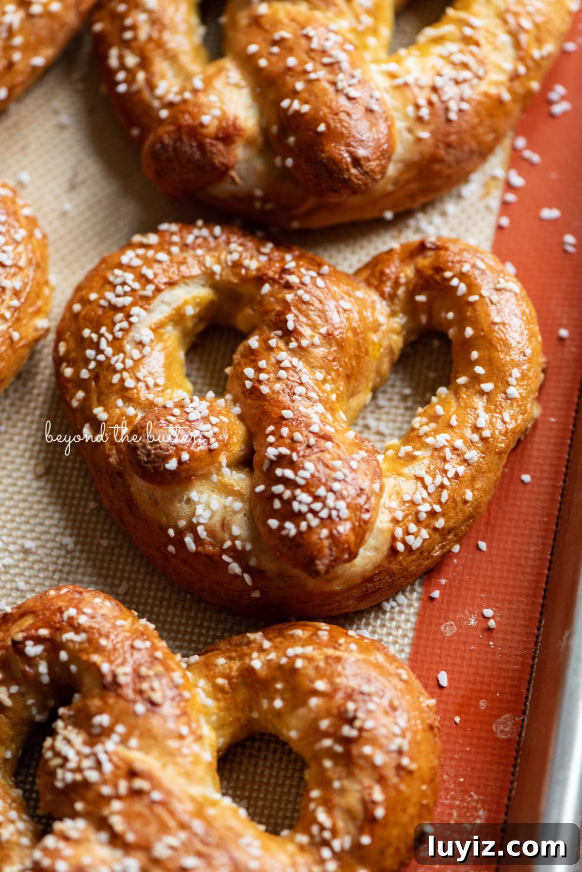 How to Make Soft Homemade Pretzels Step-by-Step 3 Homemade soft pretzels close up