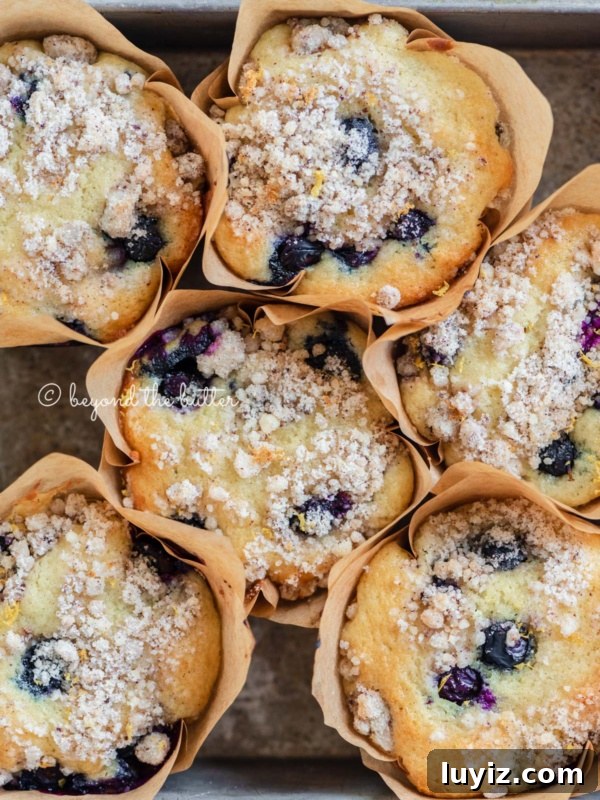 Apple Cinnamon Streusel Muffins Recipe with Crunchy Topping 8 Lemon blueberry streusel muffins