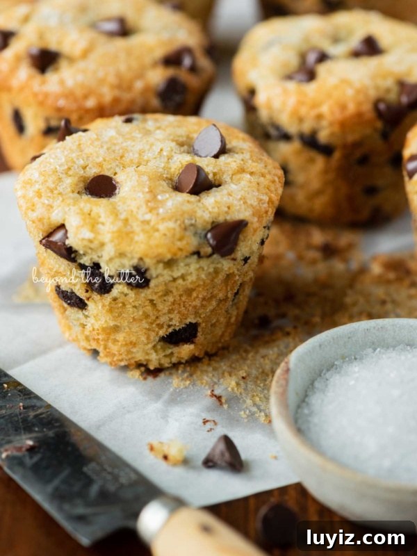 Apple Cinnamon Streusel Muffins Recipe with Crunchy Topping 9 Bakery style chocolate chip muffins