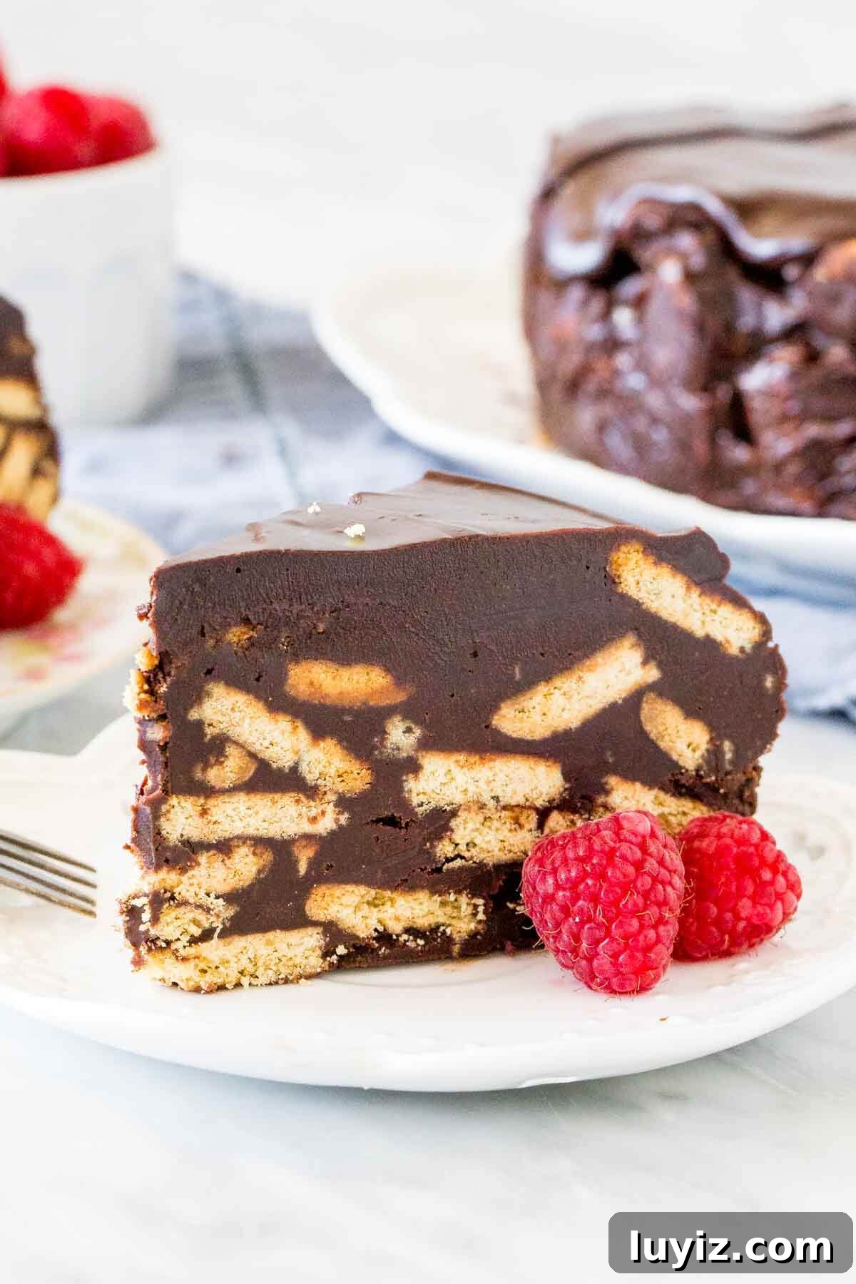 Decadent Chocolate Biscuit Cake Recipe for Any Occasion 2 Slice of chocolate biscuit case.