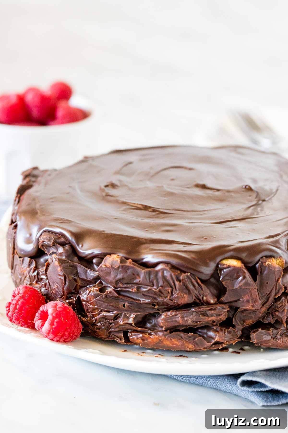 Decadent Chocolate Biscuit Cake Recipe for Any Occasion 4 Round chocolate biscuit cake topped with chocolate ganache on a plate.