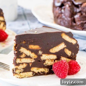 Decadent Chocolate Biscuit Cake Recipe for Any Occasion 5 Slice of chocolate biscuit case.