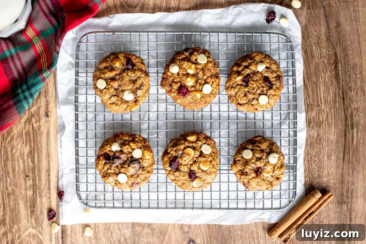 White Chocolate Cranberry Oatmeal Cookie Recipe for Chewy Bliss 3 6 oatmeal cranberry cookies on a cooling rack