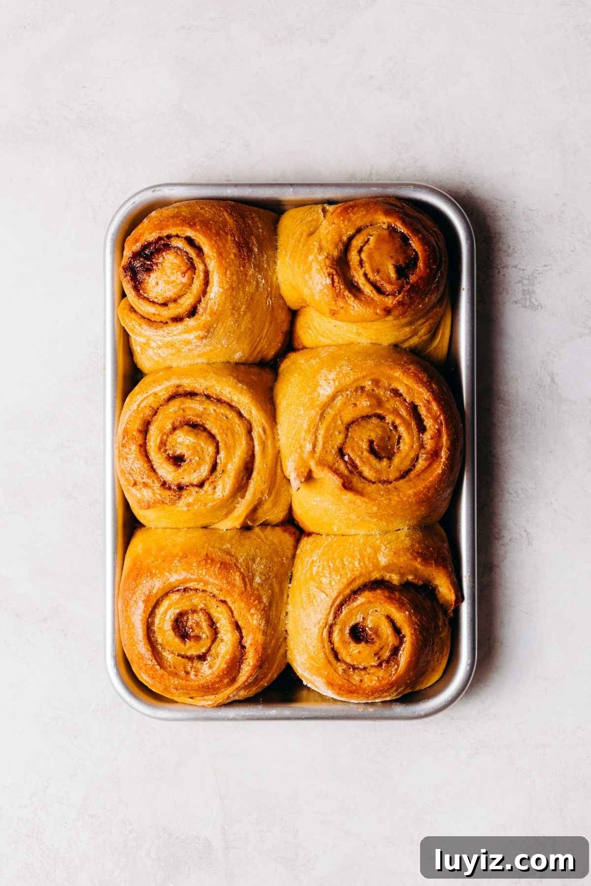 Pumpkin Cinnamon Rolls with Cream Cheese Frosting Recipe 16 Six baked pumpkin cinnamon rolls on a metal baking sheet placed on a white and grey marbled background.
