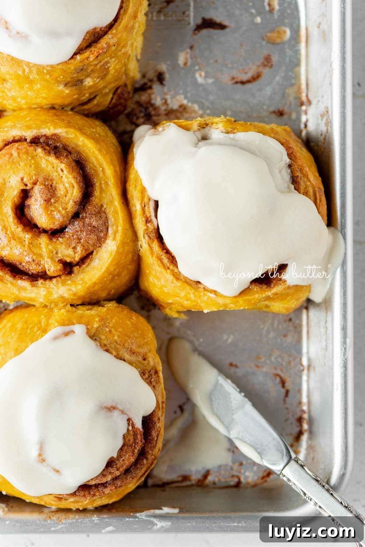 Pumpkin Cinnamon Rolls with Cream Cheese Frosting Recipe 18 Four pumpkin cinnamon rolls on a small baking sheet with three topped with maple frosting using a small knife placed on a corner of the baking sheet.