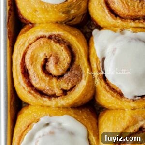 Pumpkin Cinnamon Rolls with Cream Cheese Frosting Recipe 19 Six pumpkin cinnamon rolls with three topped with maple frosting placed on a small baking sheet.