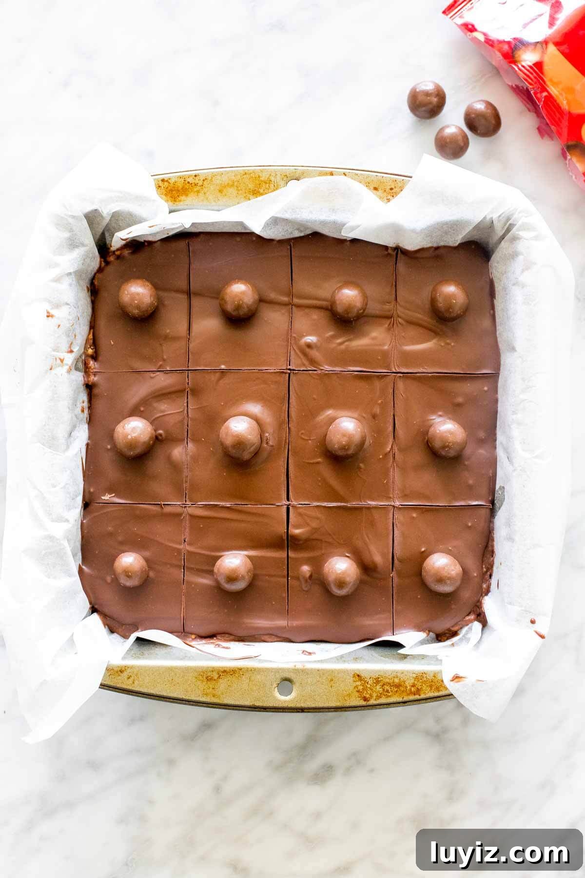 No-Bake Malteser Slice Recipe — Crunchy Chocolate Slice 5 Pan of Malteser slice, with chocolate and Maltesers on top.