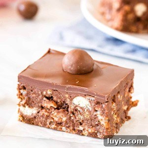 Malteser slice topped with milk chocolate and a malteser with a plate of Malteser slice in the background.