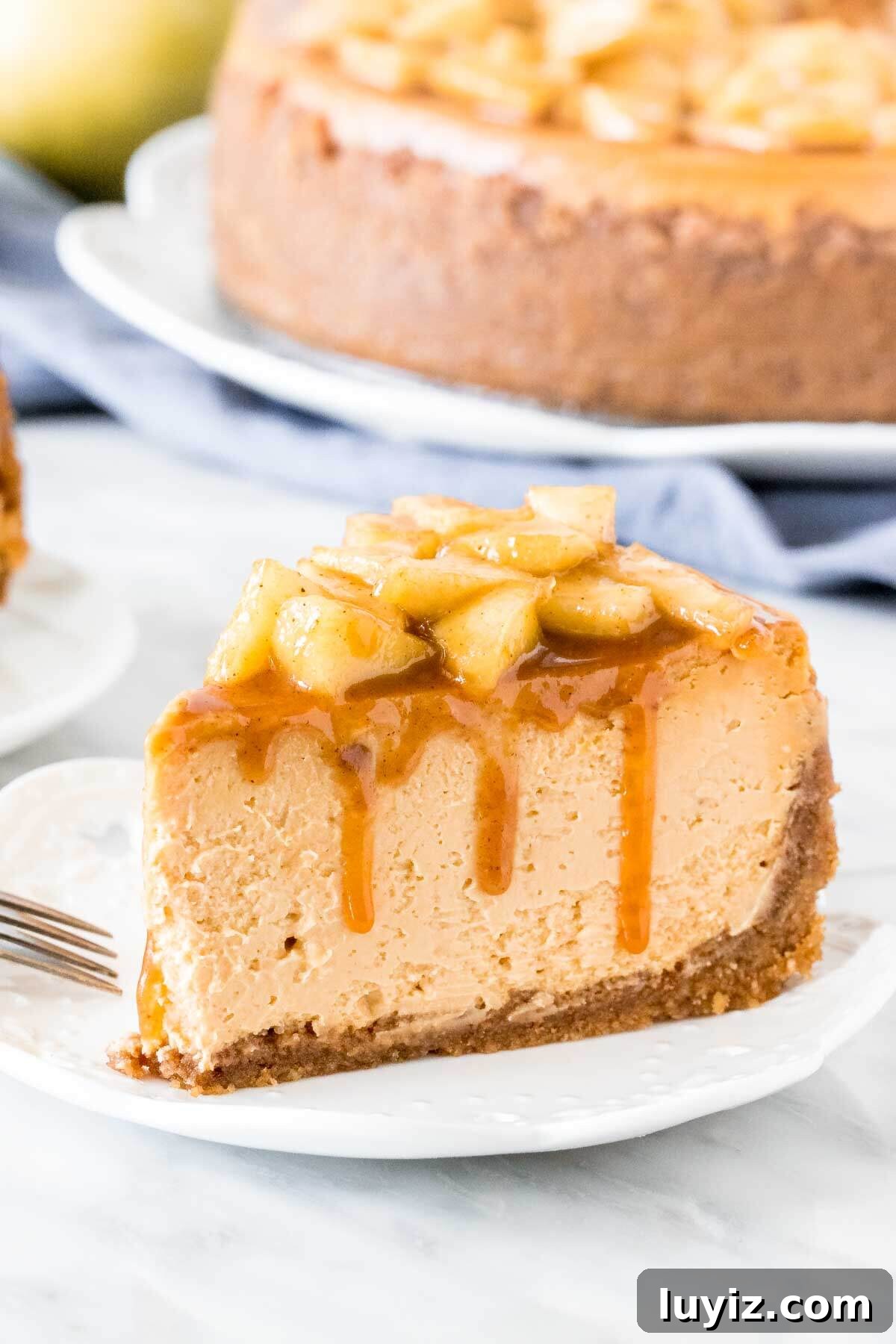 Salted Caramel Apple Cheesecake Recipe with Crunchy Streusel 2 Slice of caramel apple cheesecake on a plate.