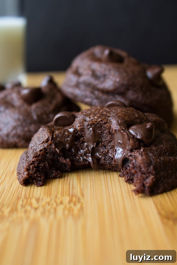 Soft Batch Double Chocolate Cookies. Rich, fudgy, soft batch double chocolate cookies oozing with chocolate chips.
