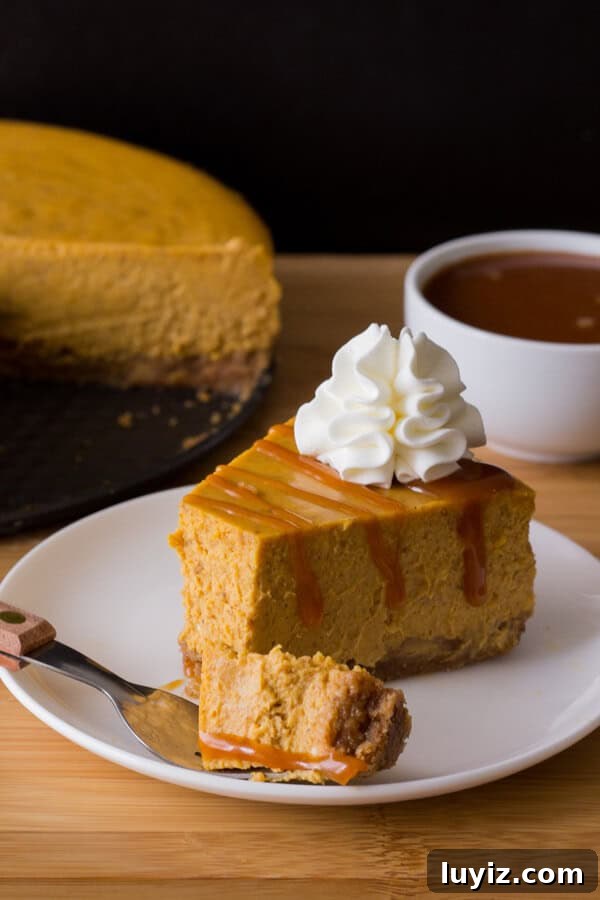 Smooth & creamy Pumpkin Cheesecake with a cinnamon graham cracker crust, delicious spices, the perfect pumpkin flavor & drizzled with salted caramel sauce.