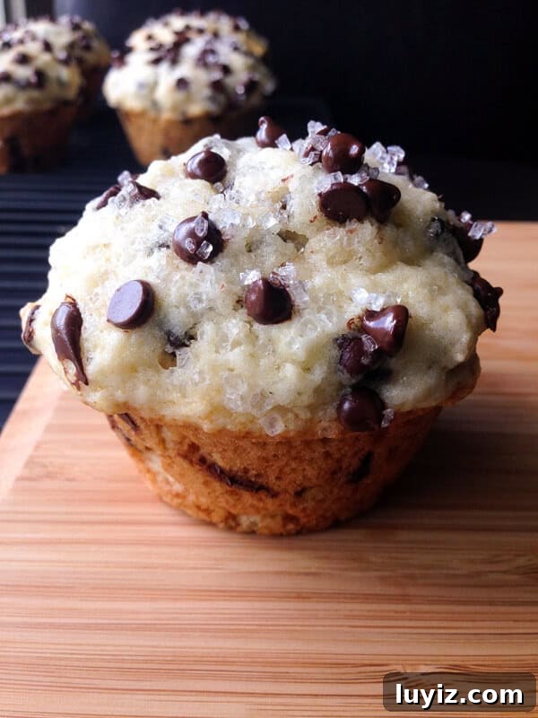 Bakery Style Chocolate Chip Muffins. Big, fluffy, buttery & filled with chocolate chips!