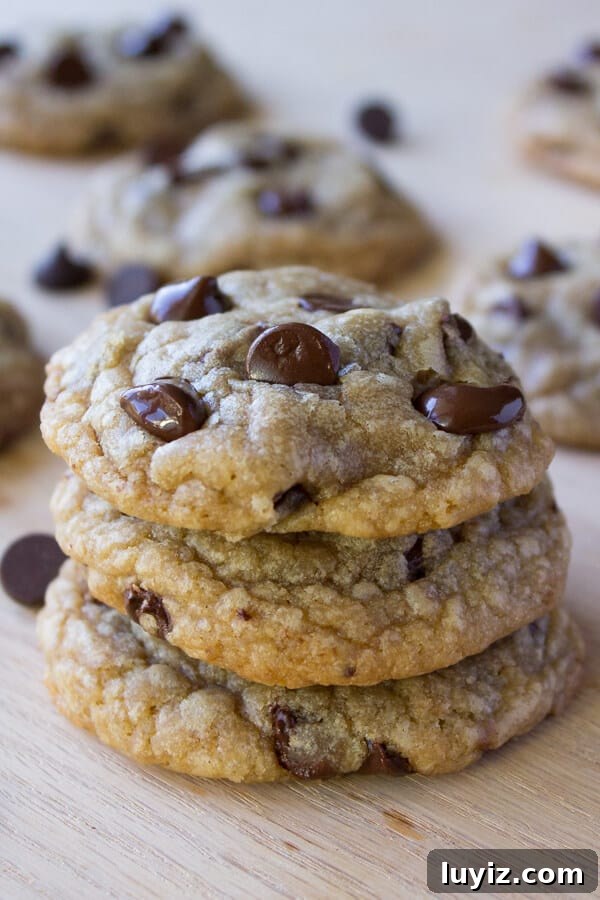 Chocolate Chip Cookies. Ultra chewy, soft, thick, buttery & oozing with chocolate chips.