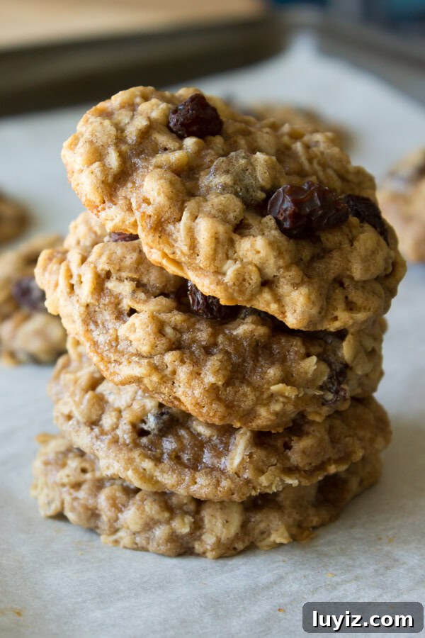 Oatmeal Raisin Cookies. Super soft, chewy and packed with flavor from vanilla, cinnamon & nutmeg.