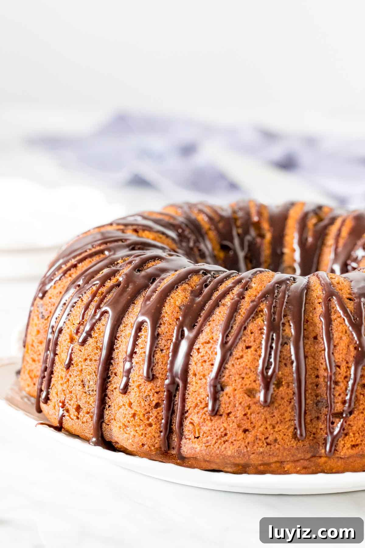 Pumpkin Chocolate Chip Cake Recipe: Moist Autumn Dessert 3 Pumpkin bundt cake on a plate, drizzled with chocolate ganache.