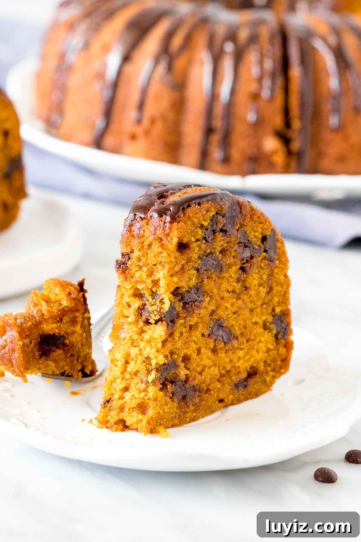 Pumpkin Chocolate Chip Cake Recipe: Moist Autumn Dessert 4 Lice of bundt cake with a bite taken out.