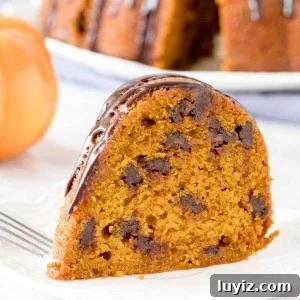 Pumpkin Chocolate Chip Cake Recipe: Moist Autumn Dessert 5 Slice of pumpkin chocolate chip cake on a a plate.